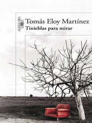 cover image of Tinieblas para mirar